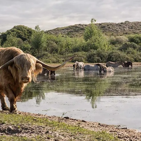 Holiday home Viale Egmond aan Zee